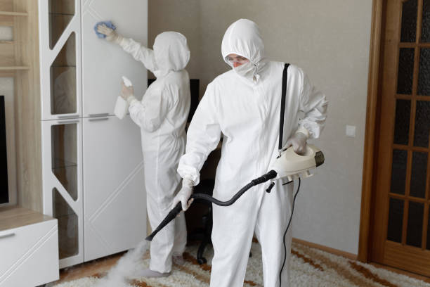 Best Post-Flood Mold Remediation in Mount Hope, NJ