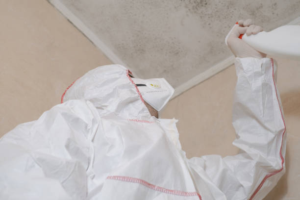 Best HVAC Mold Remediation in Mount Hope, NJ